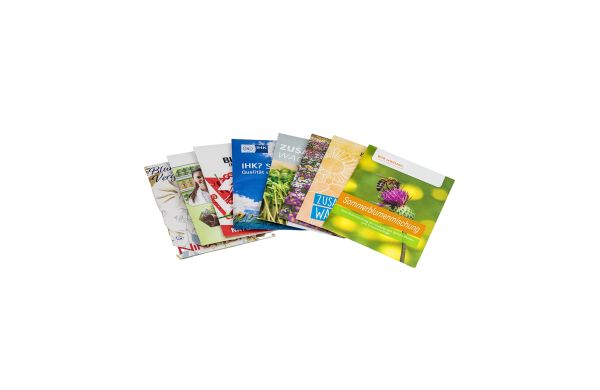 Zaad Pakjes - eetbare bloemen