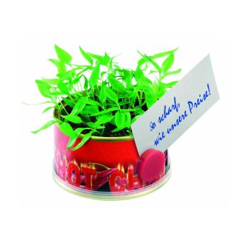 Mini garden Hot met magneet