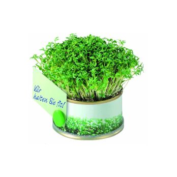 Mini garden kruiden met magneet