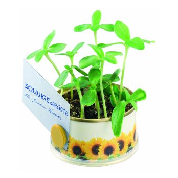 Mini garden zon met magneet