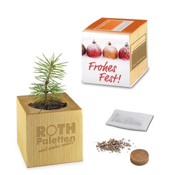 Plantenhouder Maxi Kerstmis met sparrenzaden