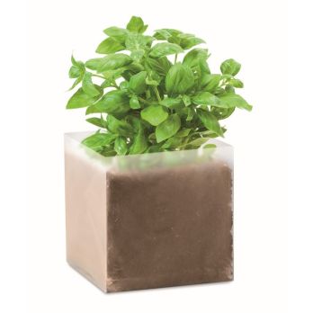 BASIL “Basil” plantset