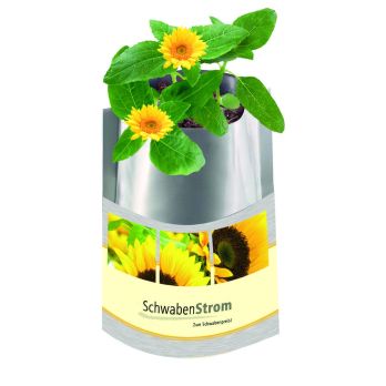 Plantentas zon