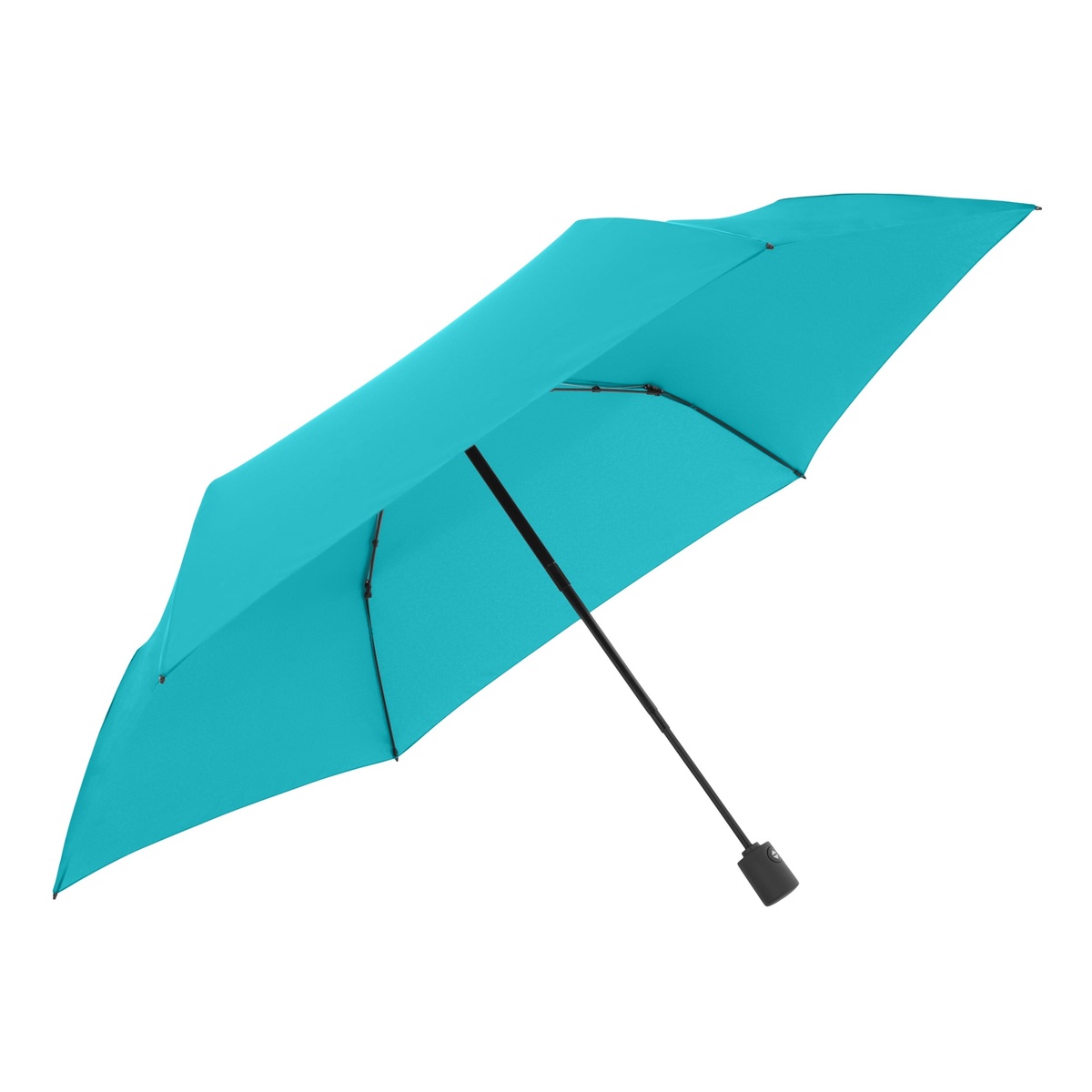 1 Segment (25/36 x 12 cm)