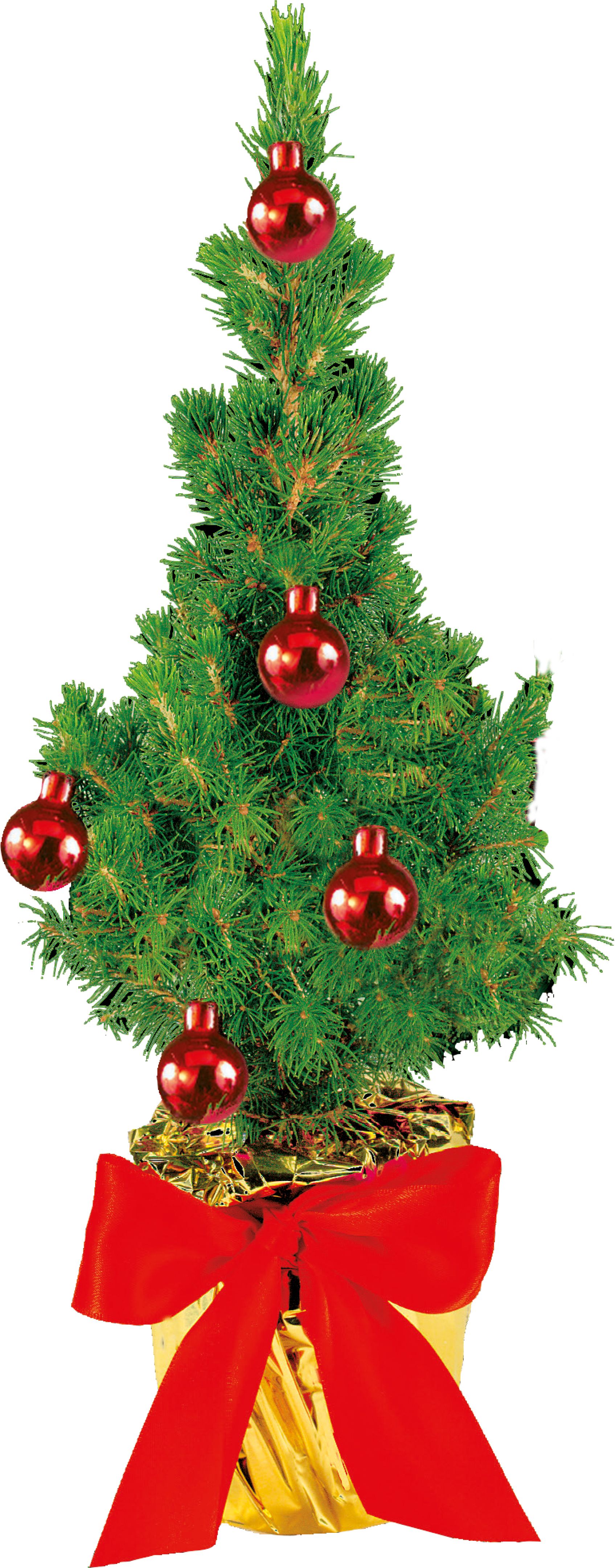 op de kaart (6,0 x 4,0 cm)