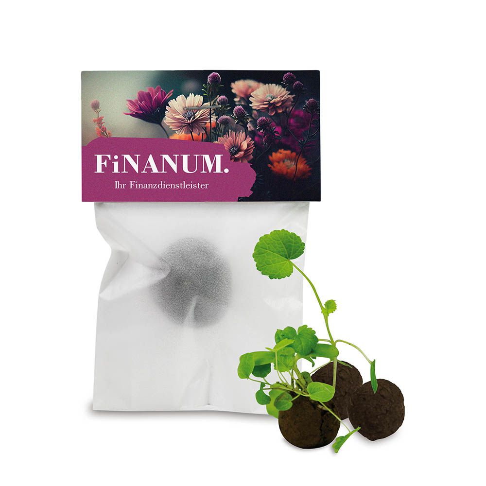 Kaart (8,1 x 9,0 cm)