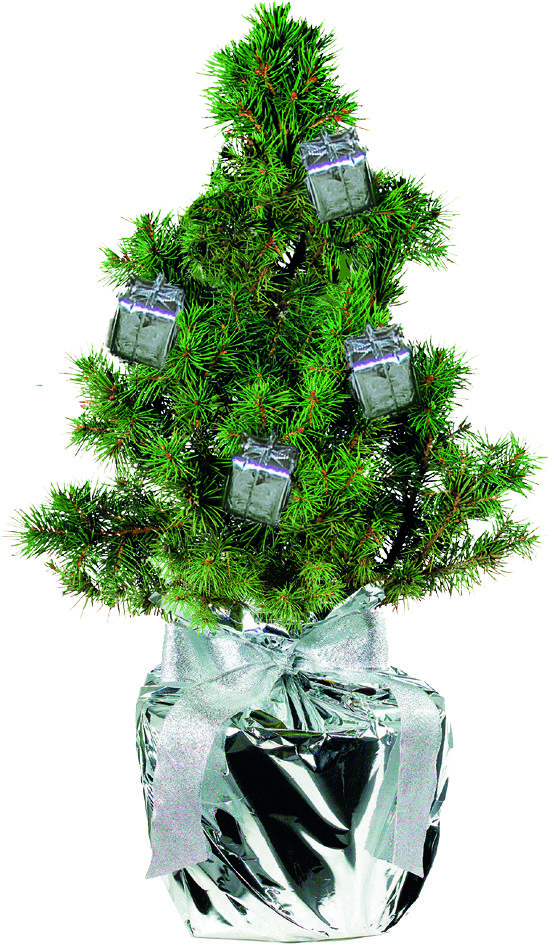 op de kaart (6,0 x 4,0 cm)