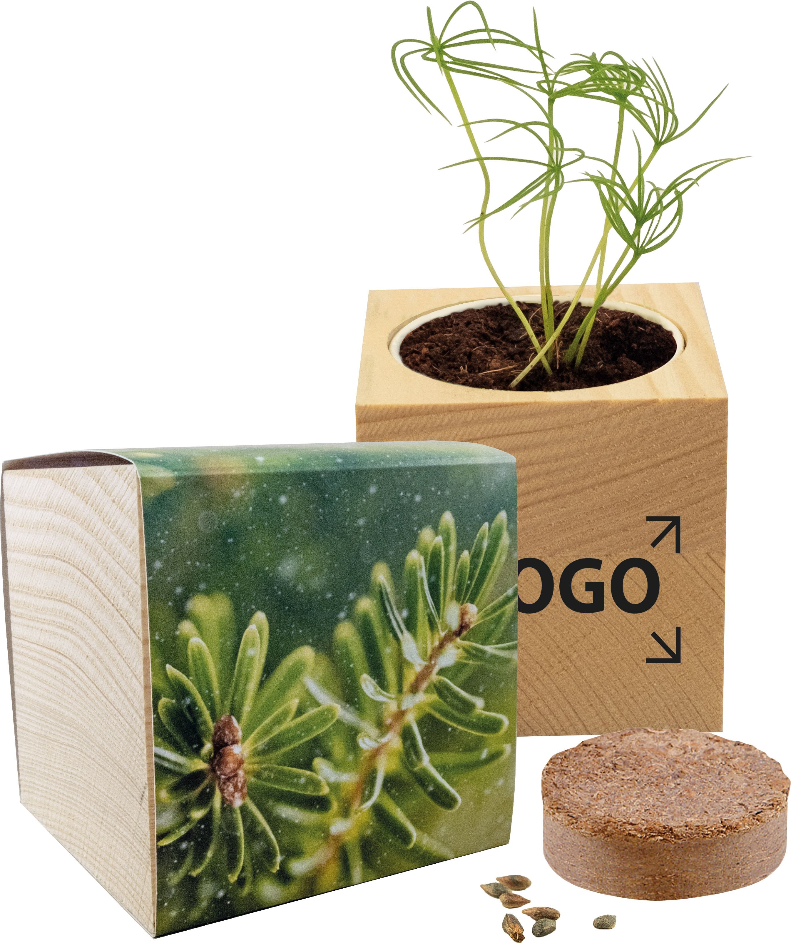 op de banderol (7,0 x 29,7 cm)