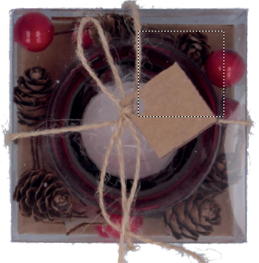 Segment 2 (3 x 3 cm)