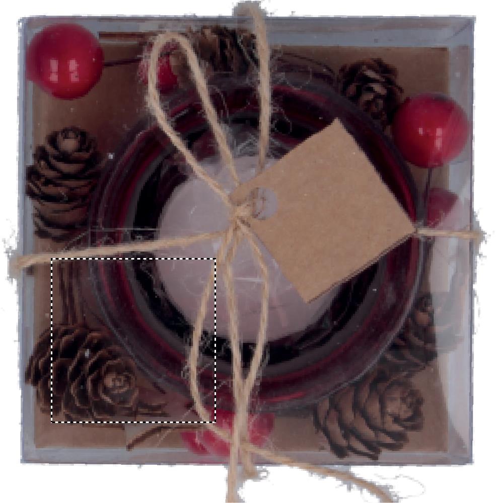 Segment 3 (3 x 3 cm)