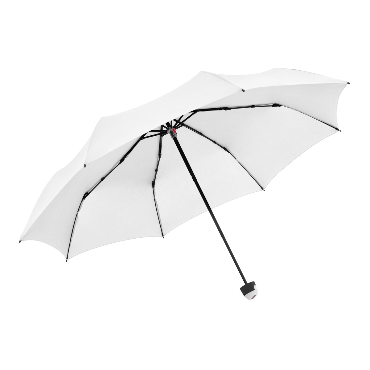 1 Segment (17/24 x 12 cm)