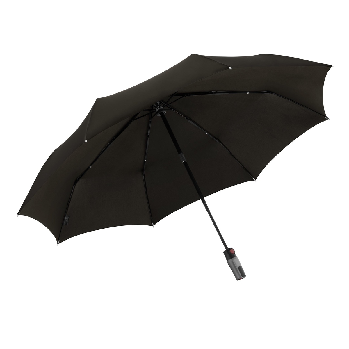 1 Segment (21/32 x 16 cm)