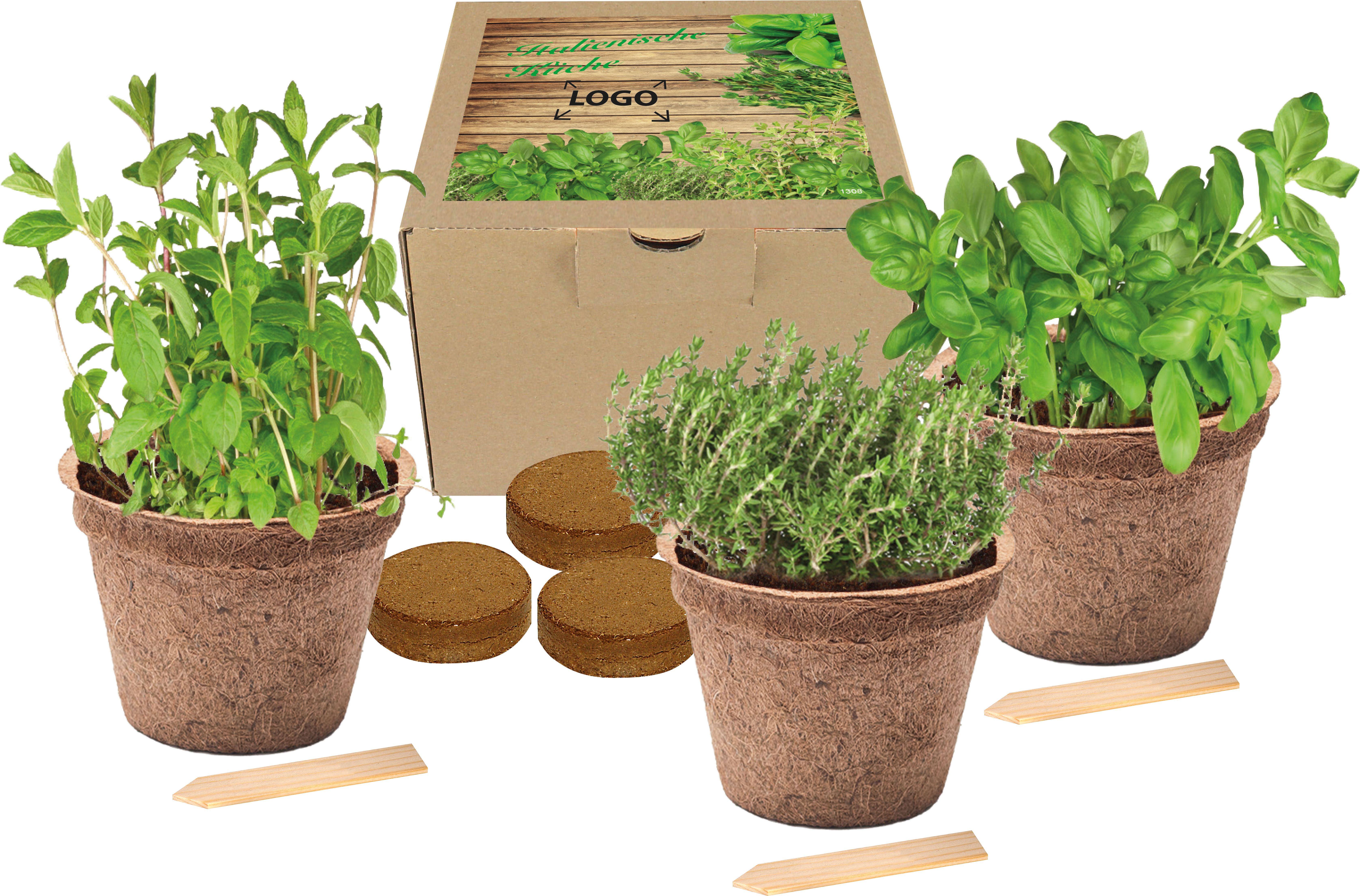 op het dekseletiket (12,0 x 12,0 cm)