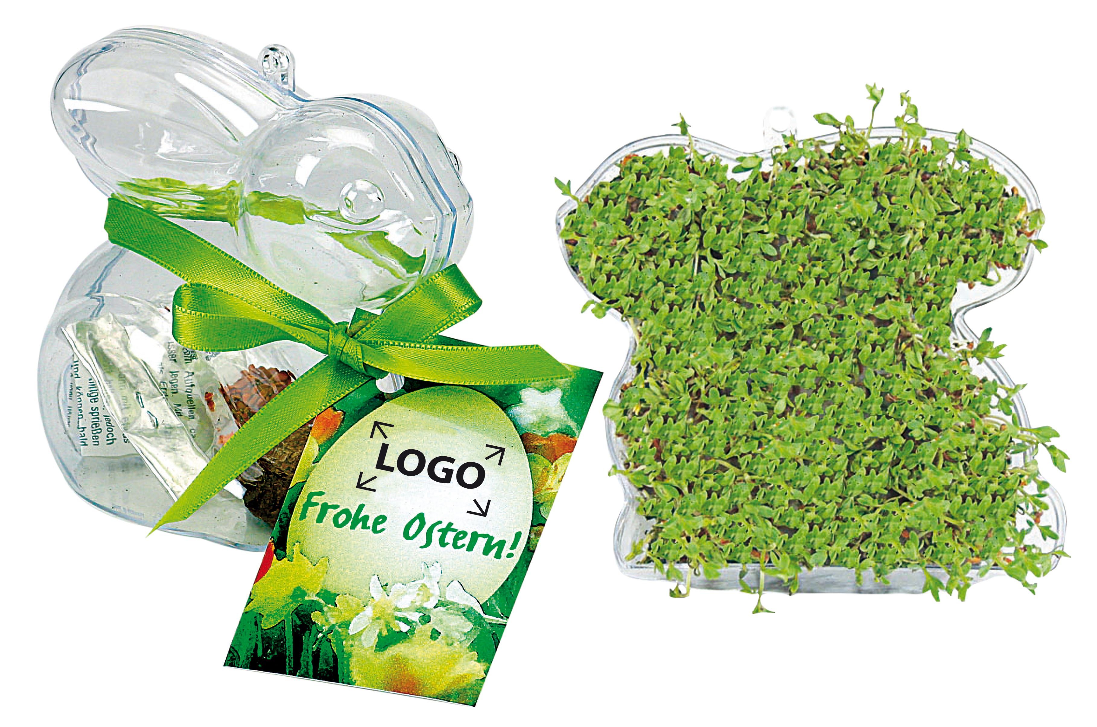 op de kaart (5,0 x 8,0 cm)