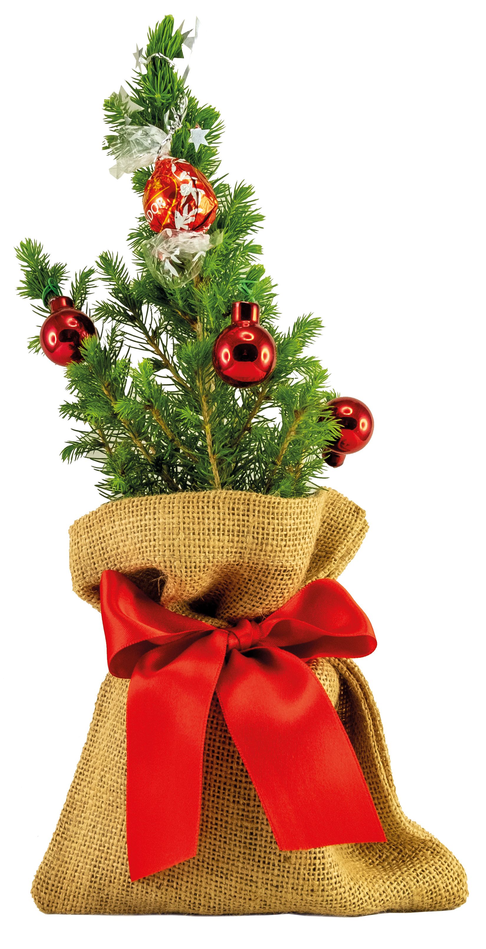 op de kaart (6,0 x 4,0 cm)