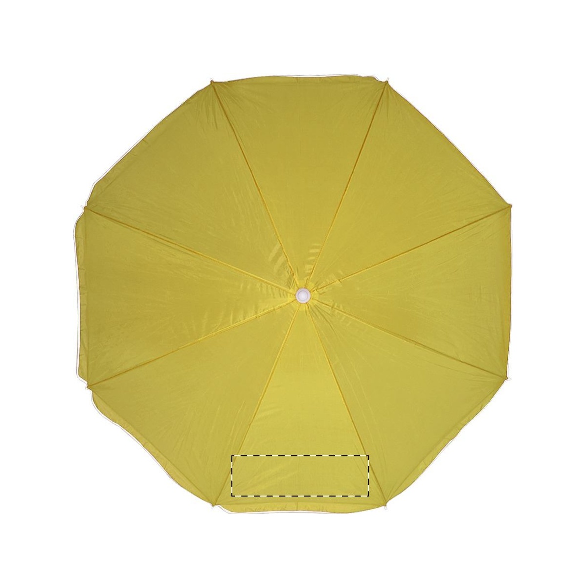 Segment 3 (26 x 13 cm)