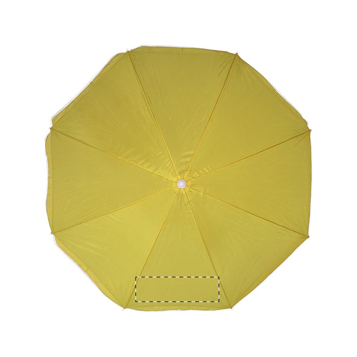 Segment 4 (26 x 13 cm)