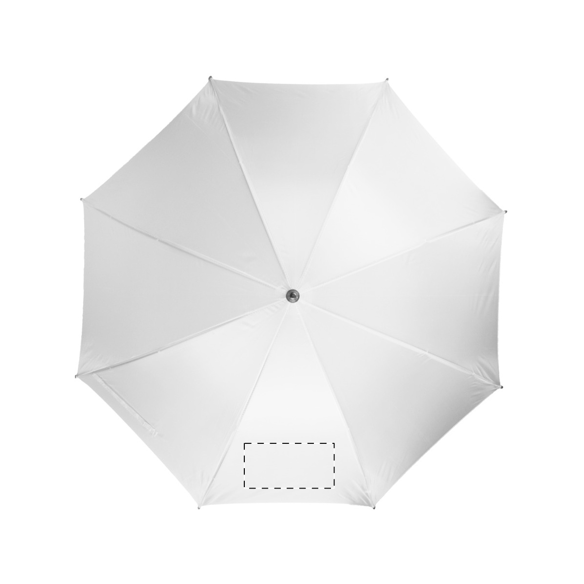 Segment 2 (18 x 10 cm)