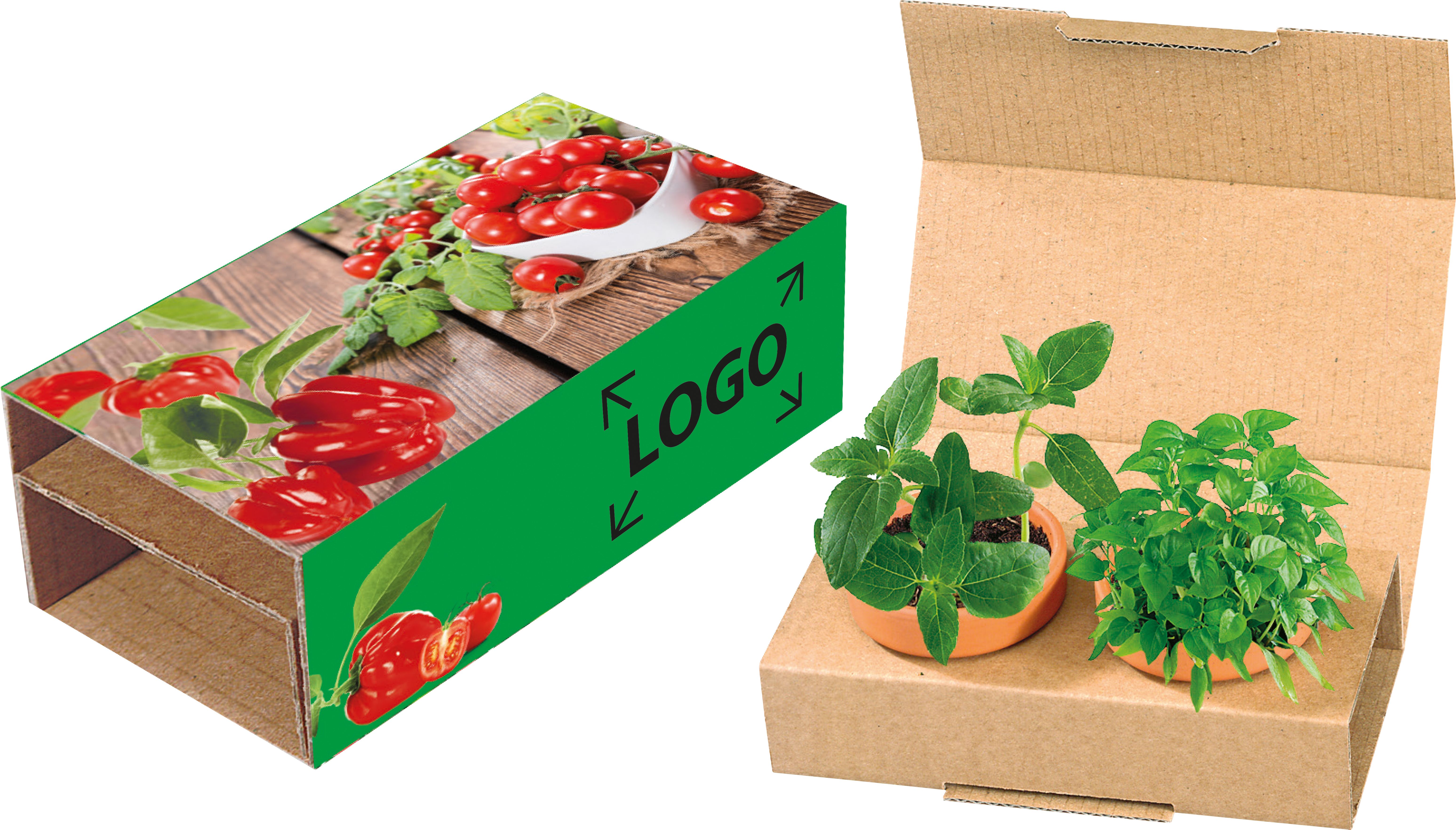 op de banderol (23,2 x 12,8  cm)