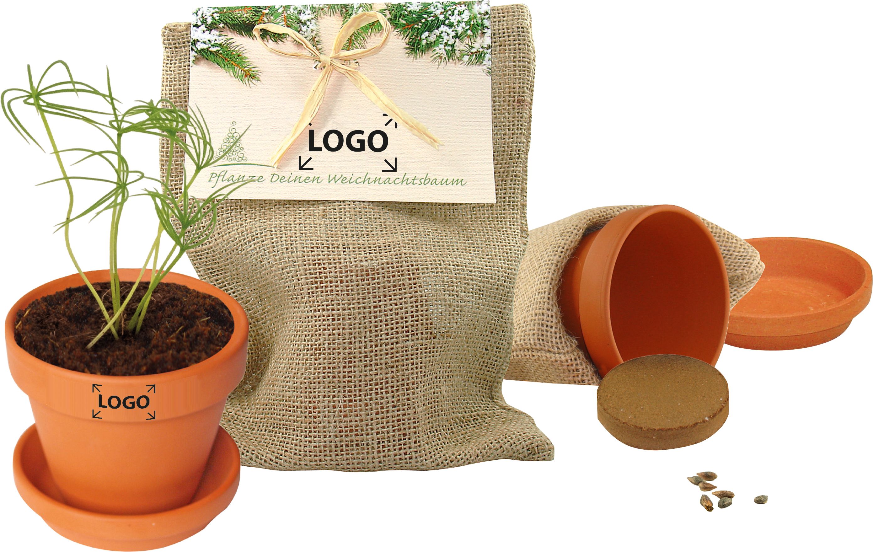 op de header (14,8 x 21,0  cm)