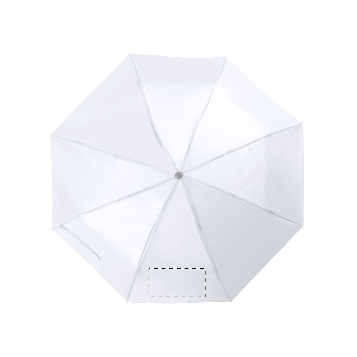 Segment 2 (18 x 10 cm)