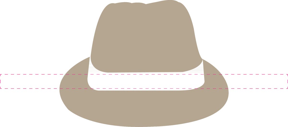 op hoedenband (40x2 cm)