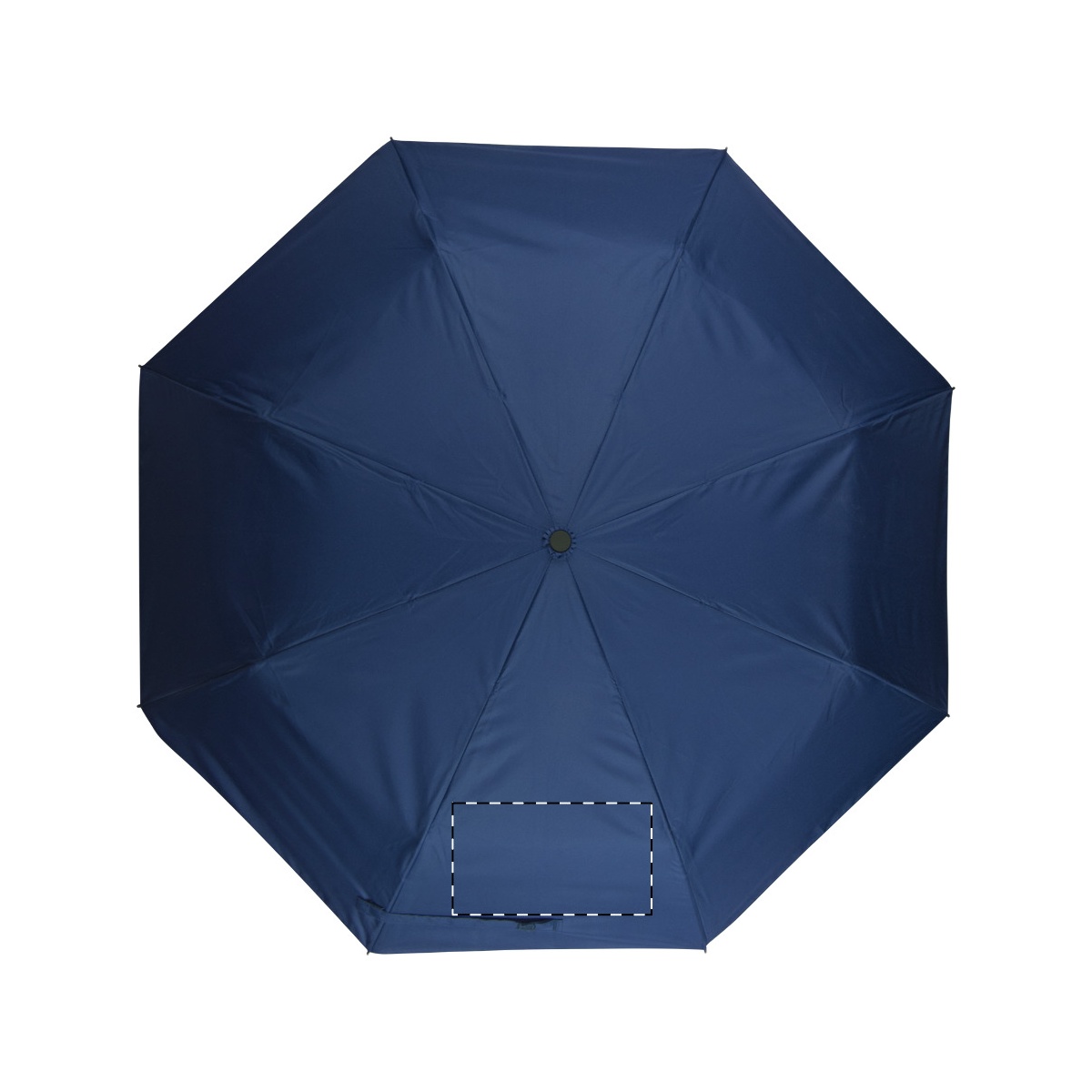 Segment 1 met sluitband (segmentnummering met de klok mee) (22 x 11 cm)