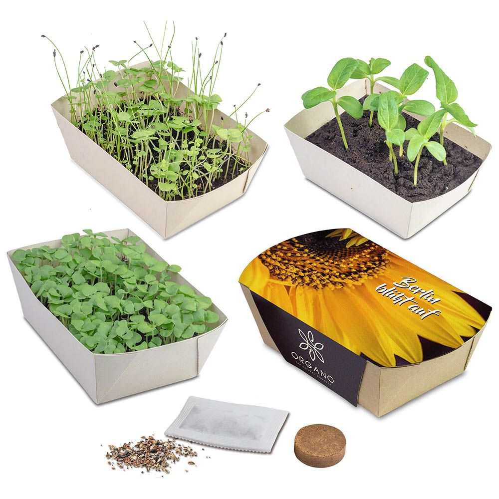 Banderole (27,4 x 14,6 cm)