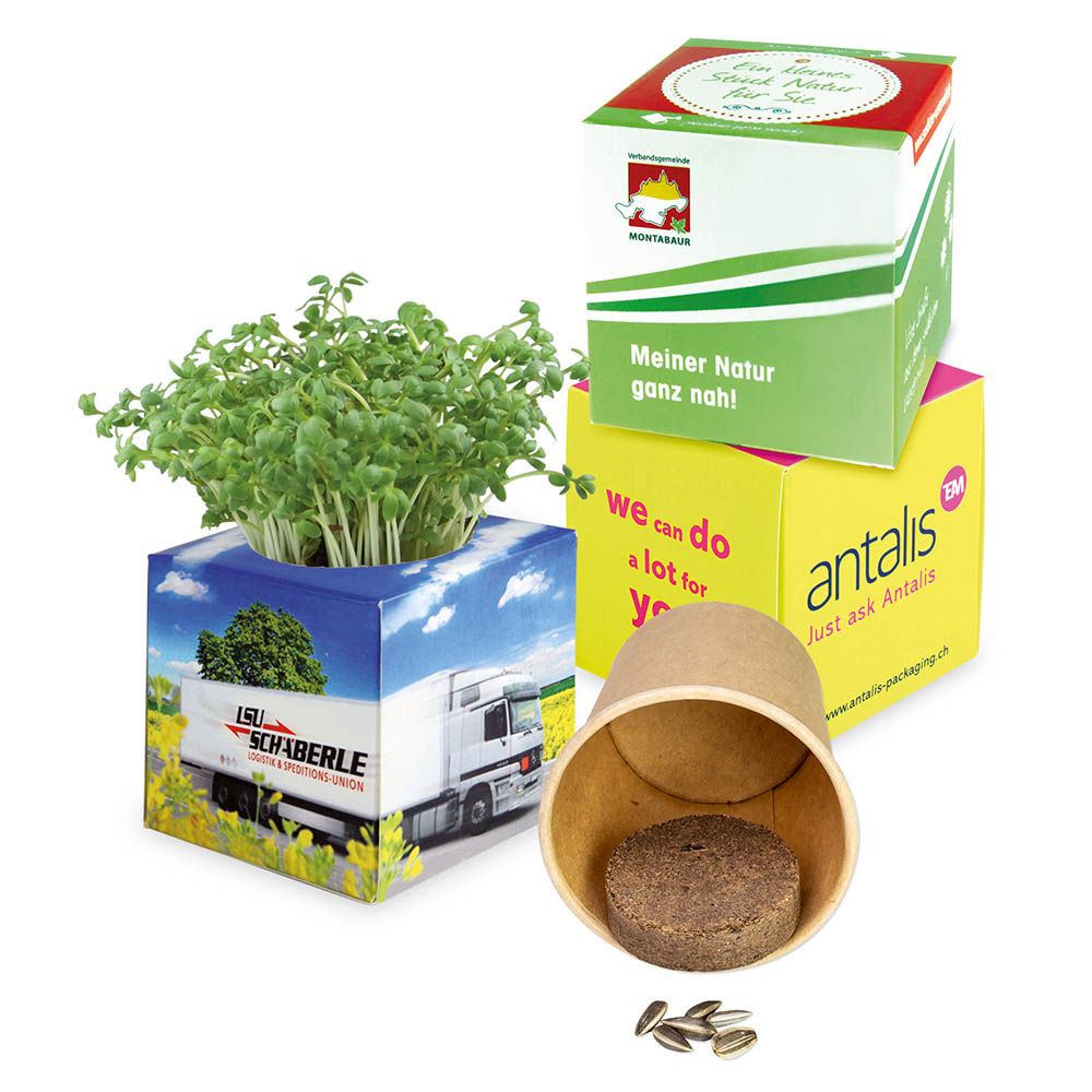 Box (5 Flächen á 6,2 x 6,2 x 6,2 cm)