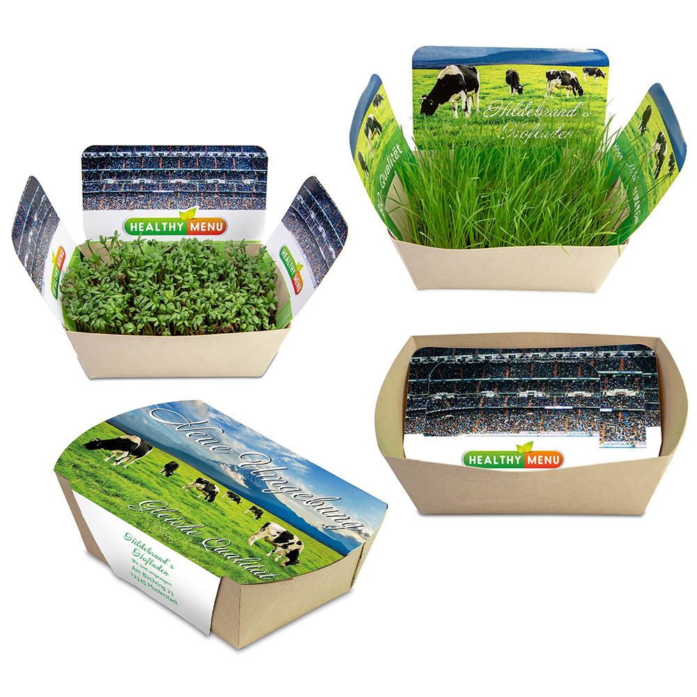 Banderole (Banderole: 27,4 x 14,6 cm, Steckteile Seiten: 7,5 x 7,8 cm, Steckteil Front: 8,0 x 11,4 cm)