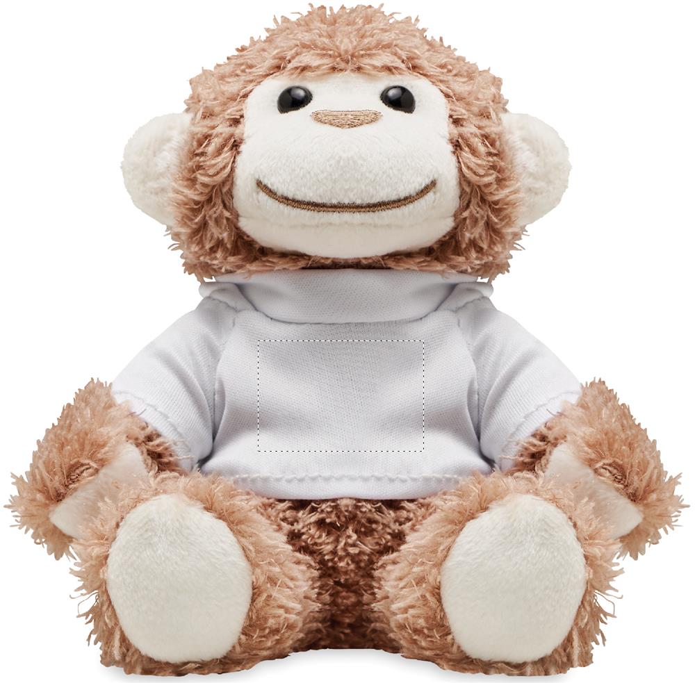 Voorzijde (2 x 3 cm)