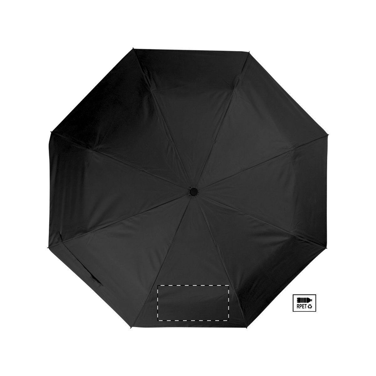 Segment 2 (22 x 11 cm)