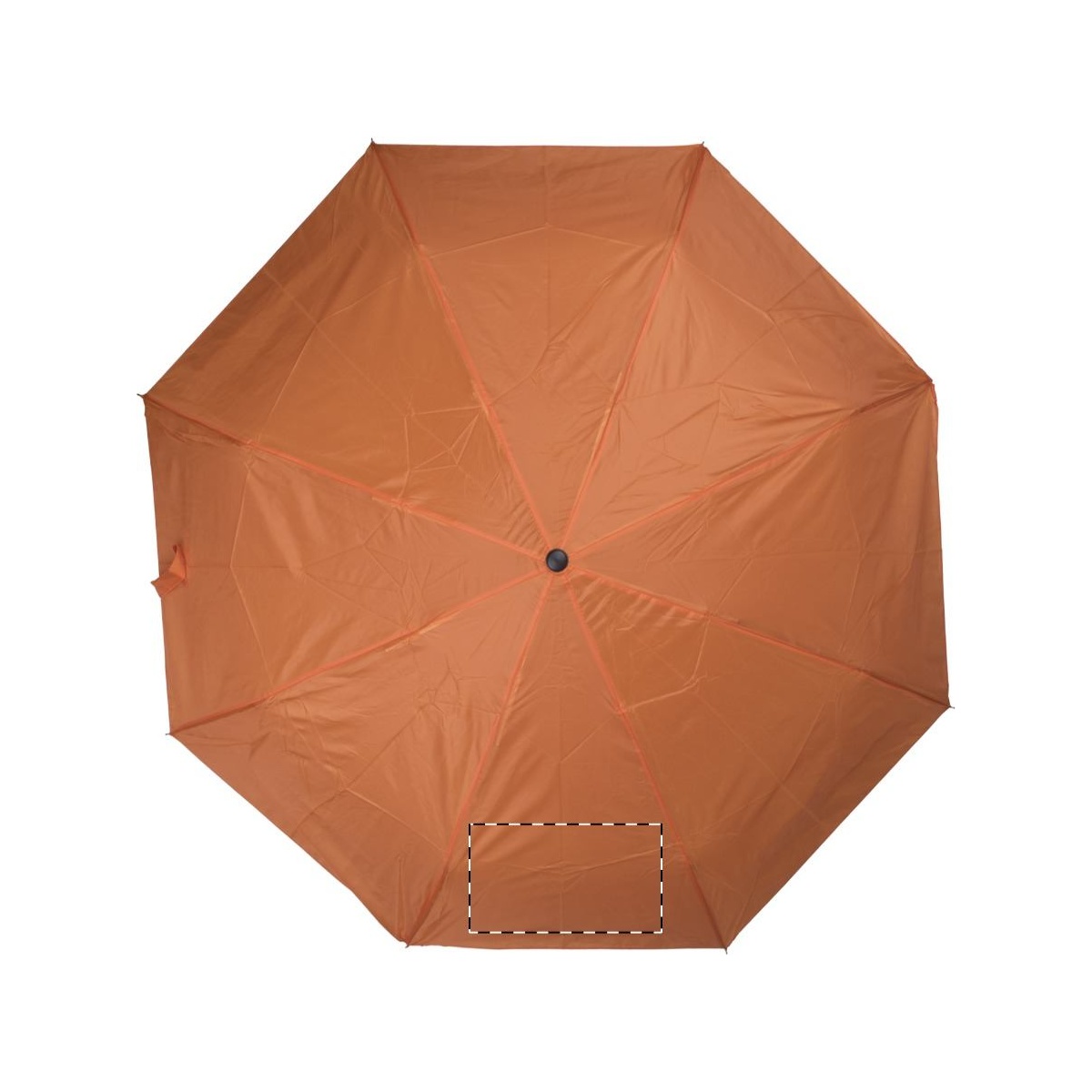 Segment 2 (20 x 10 cm)