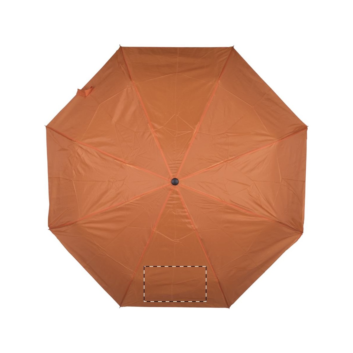 Segment 2 (20 x 15 cm)