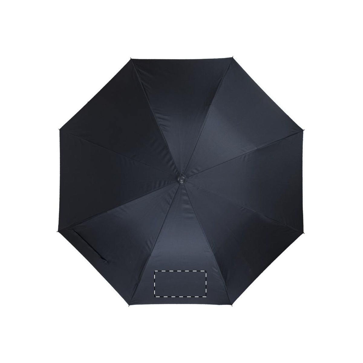 Segment 2 (22 x 11 cm)