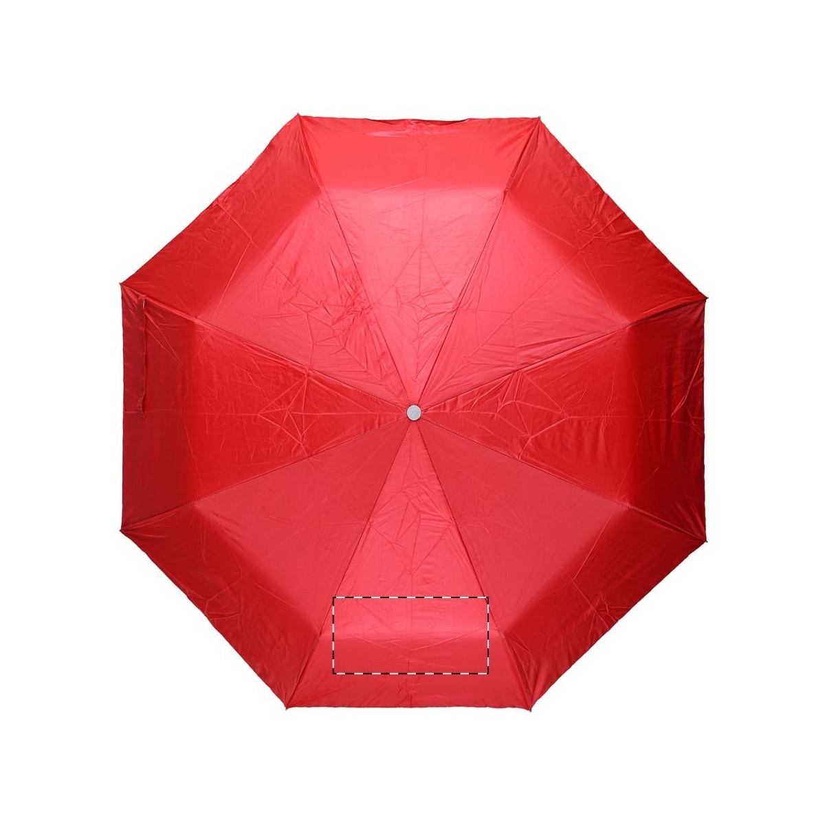 Segment 2 (20 x 10 cm)