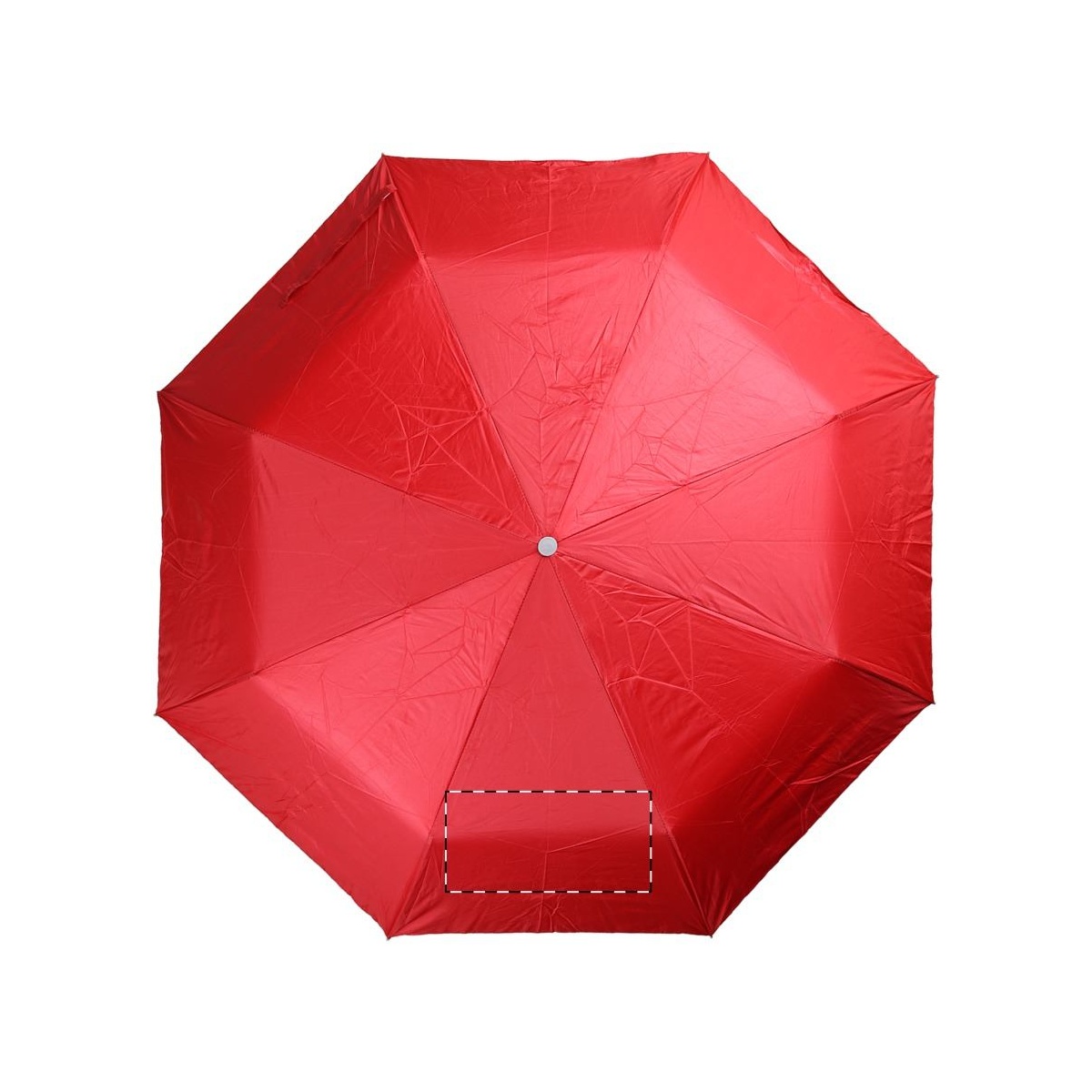 Segment 2 (23 x 11 cm)