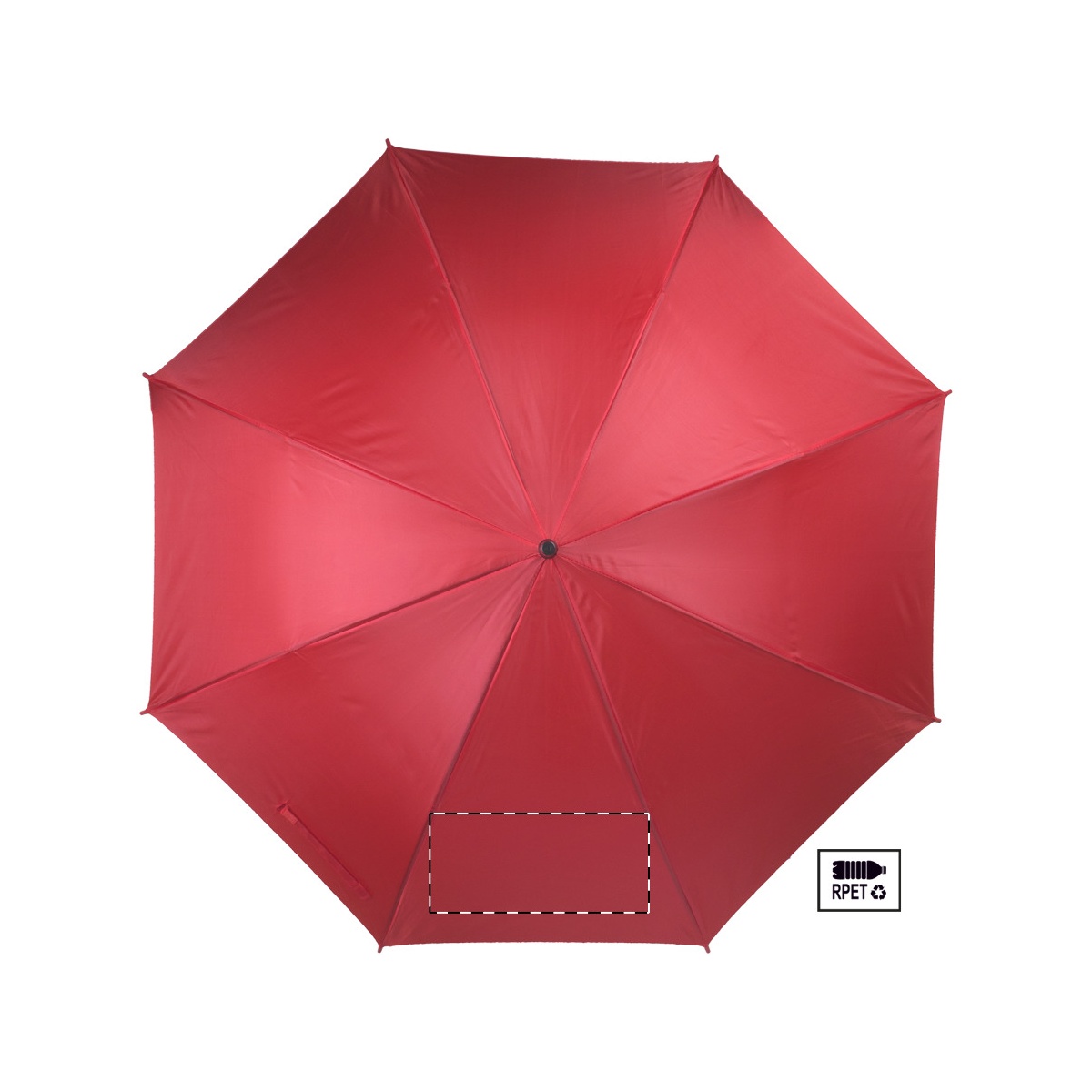 Segment 2 (20 x 10 cm)