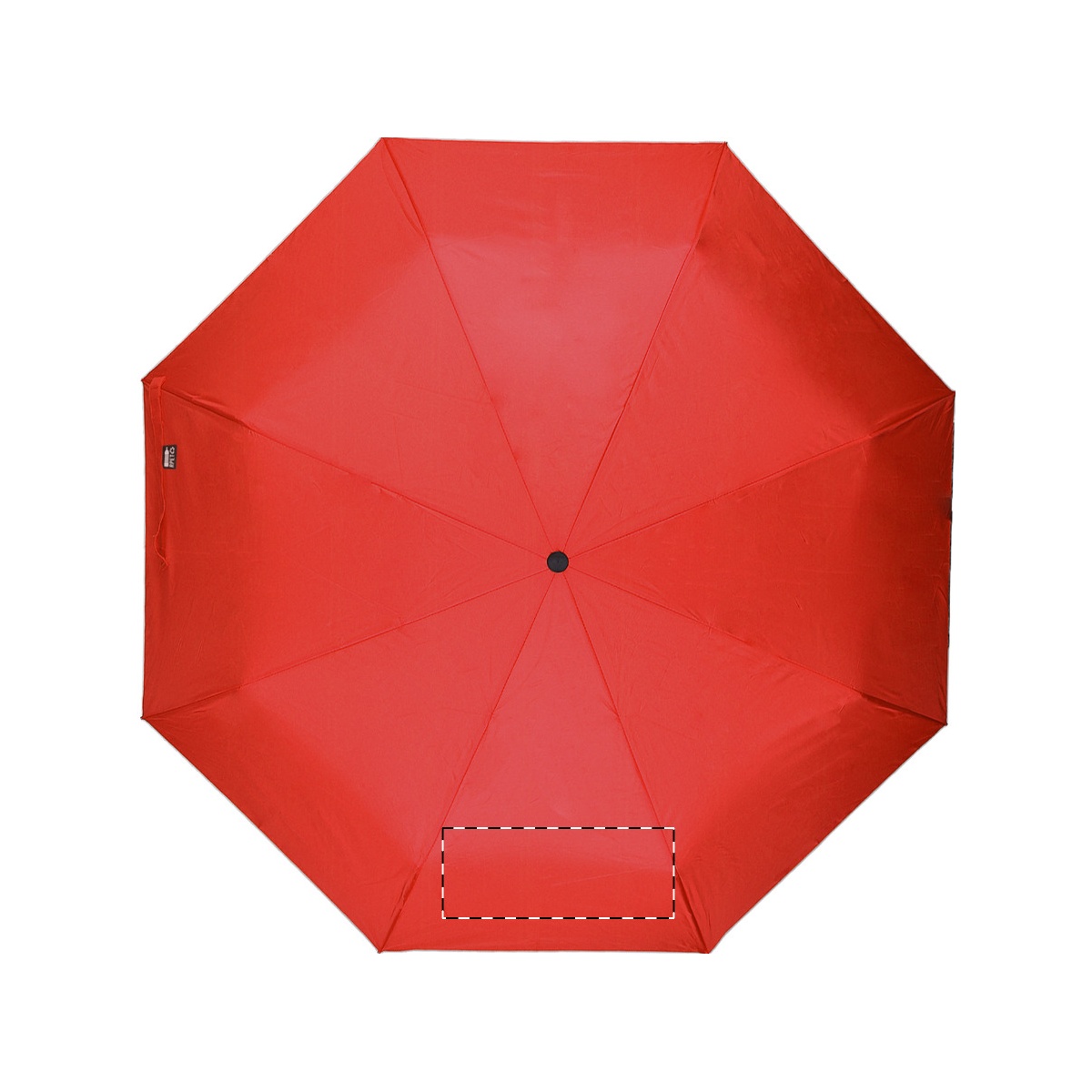 Segment 2 (20 x 10 cm)