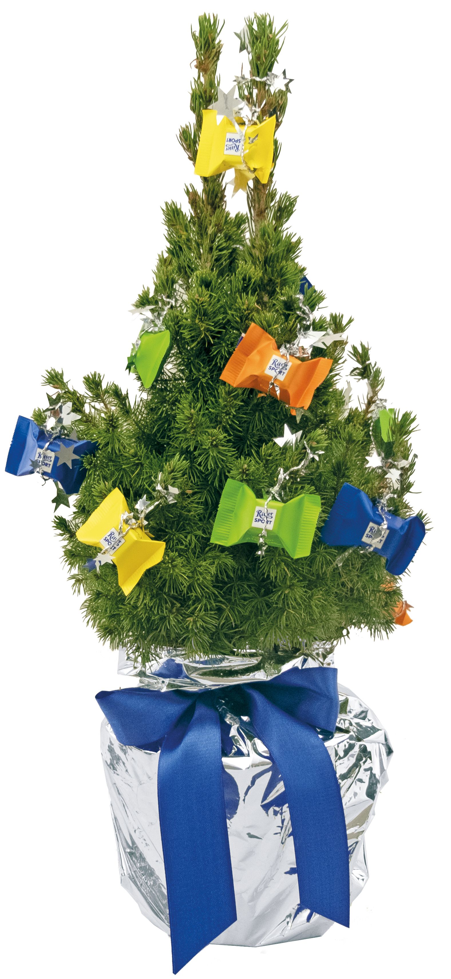 op de kaart (6,0 x 4,0 cm)