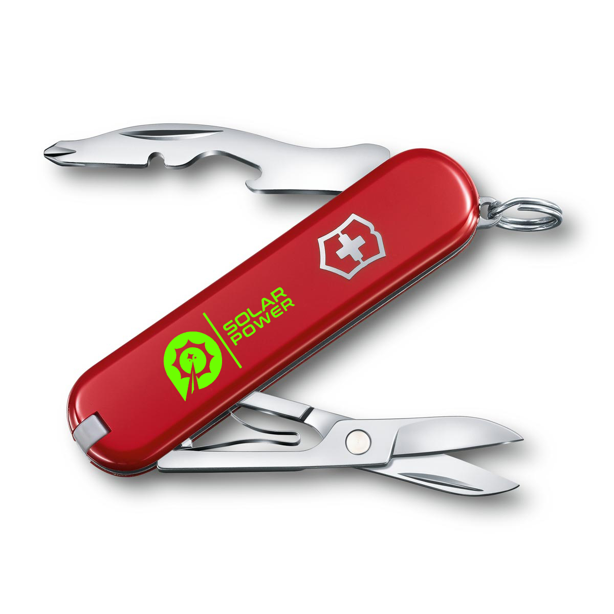 Achterkant schaal (5,4 x 1,0 cm)