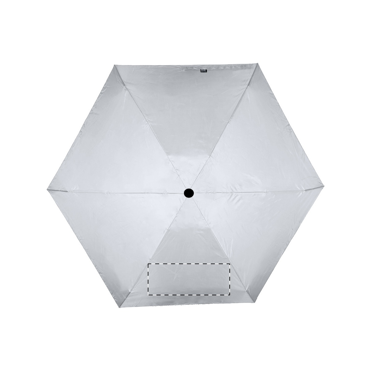 Segment 2 (18 x 10 cm)