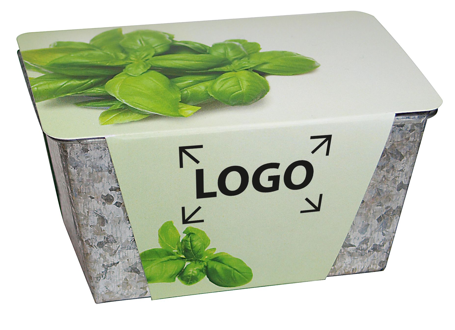 op de banderol (25,0 x 9,5 cm)