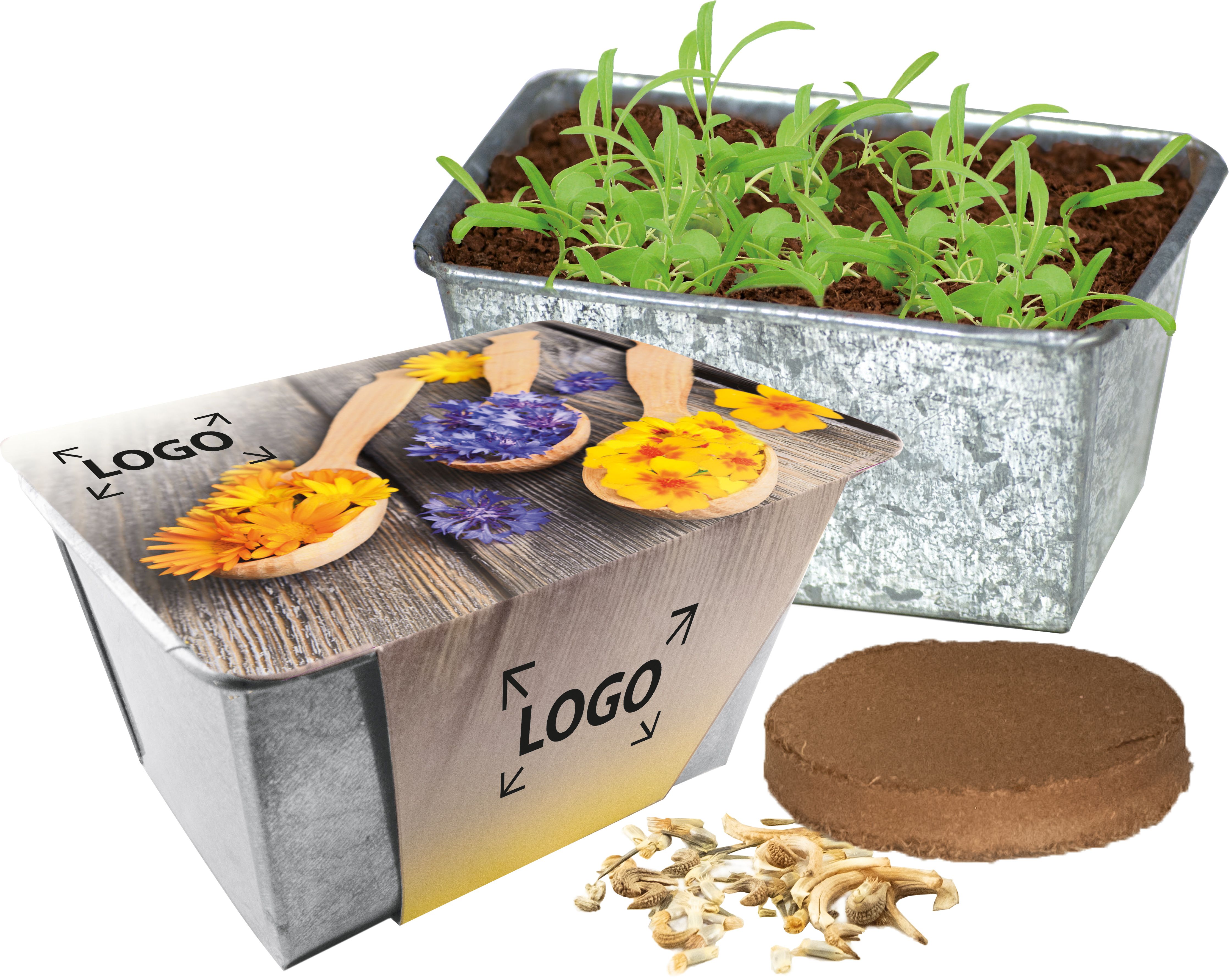 op de banderol (25,0 x 9,5 cm)