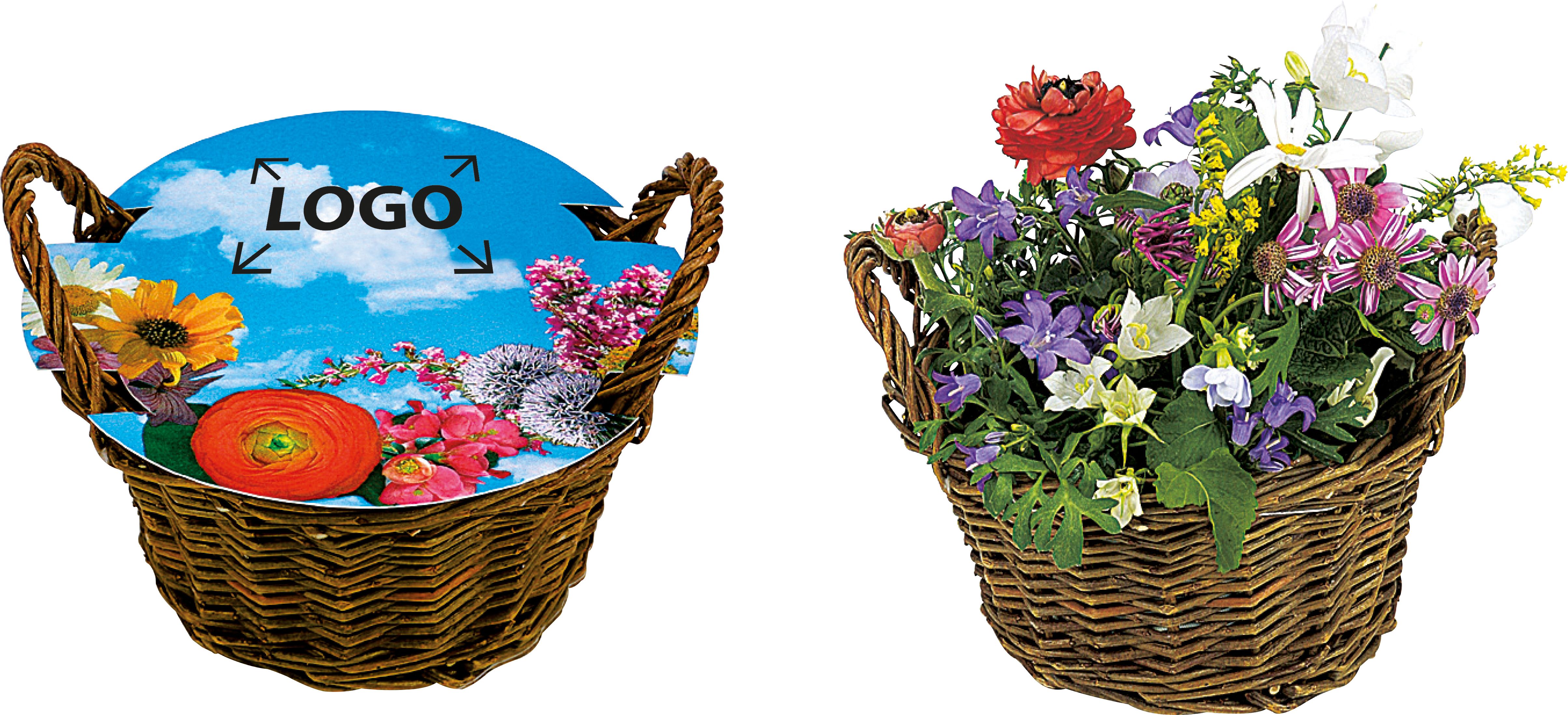 op de omslag (Ø 15,0 cm)