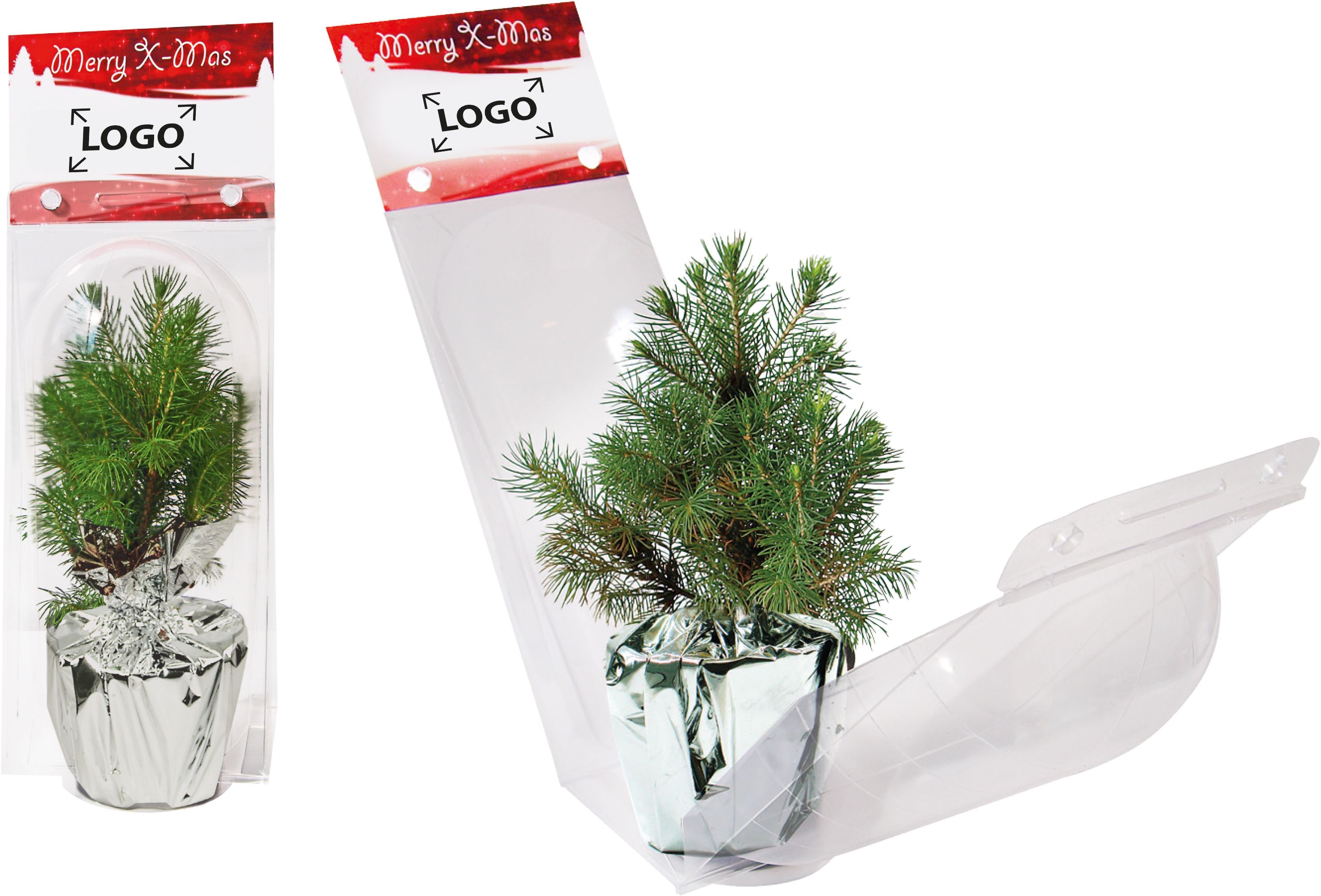 op de header (12,0 x 8,5  cm)