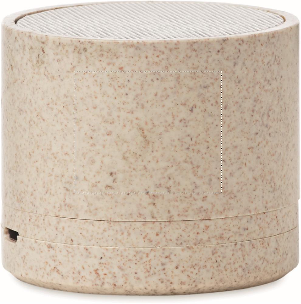 Zijde 3 (2,5 x 3 cm)