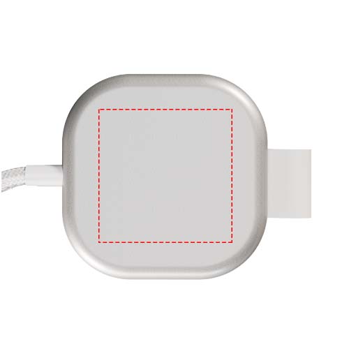 2. Segment (40 x 40 mm)