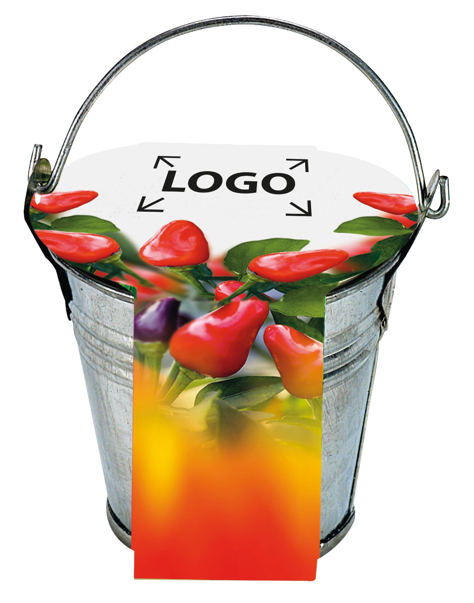 op de banderol (24,0 x 6,0  cm)