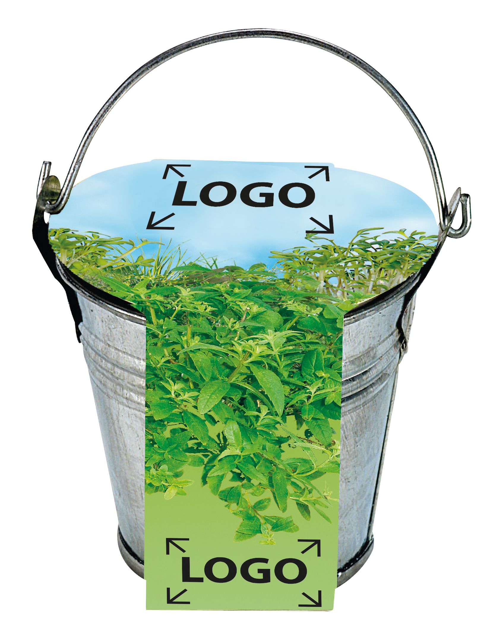 op de banderol (24,0 x 6,0  cm)